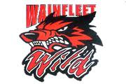Logo for Wainfleet arena